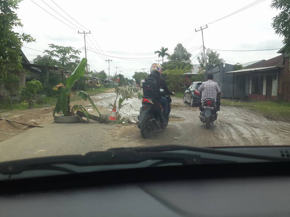 Jalan Padang Lamo Ditanami Warga Batang Pisang