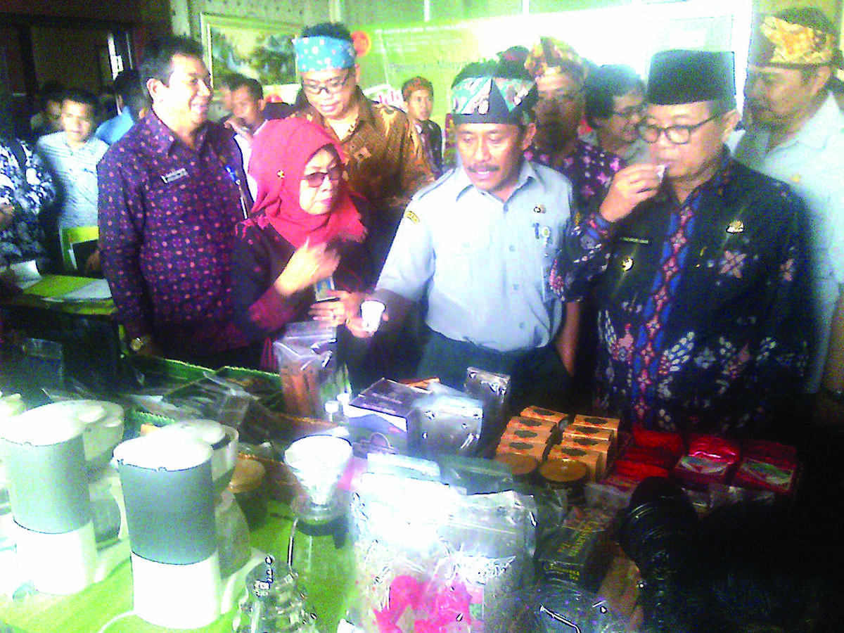 Perkebunan Jambi Berpotensi Kehilangan Rp 200 T