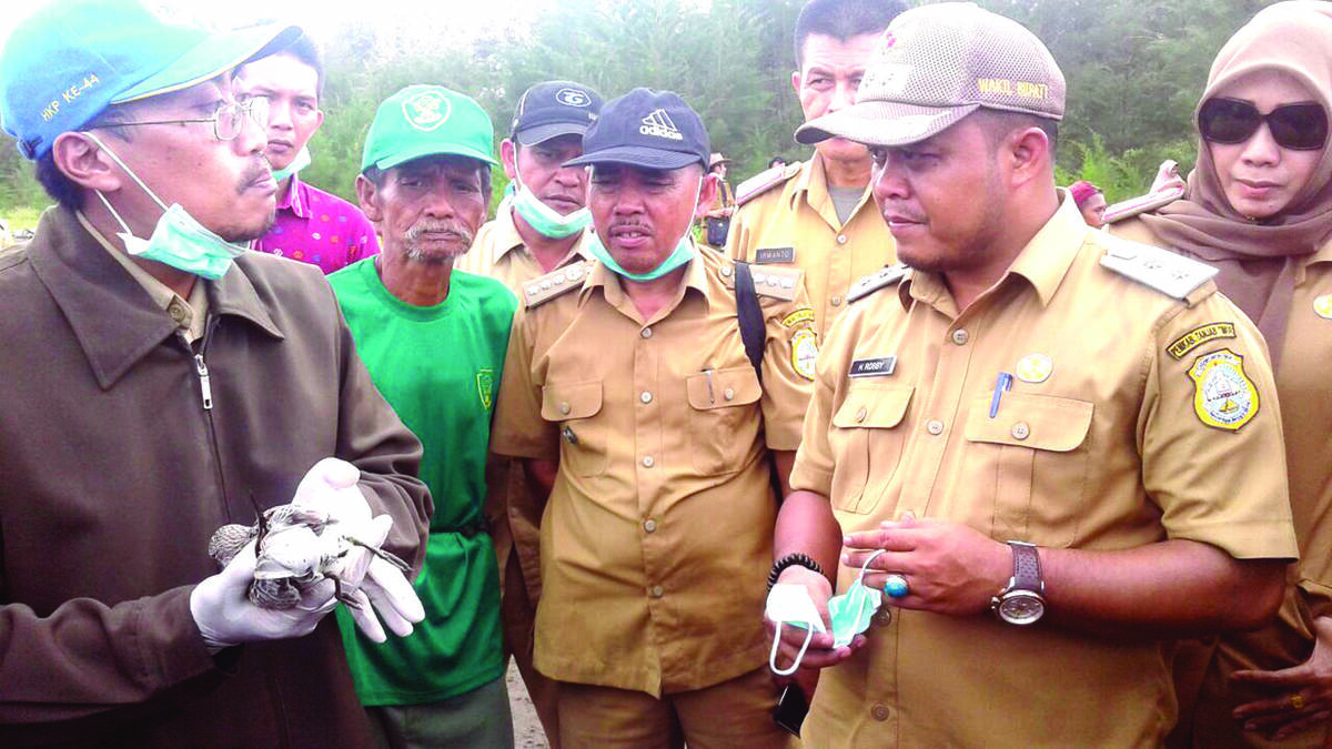 Puluhan Burung Migran Mati, Warga Khawatir Virus