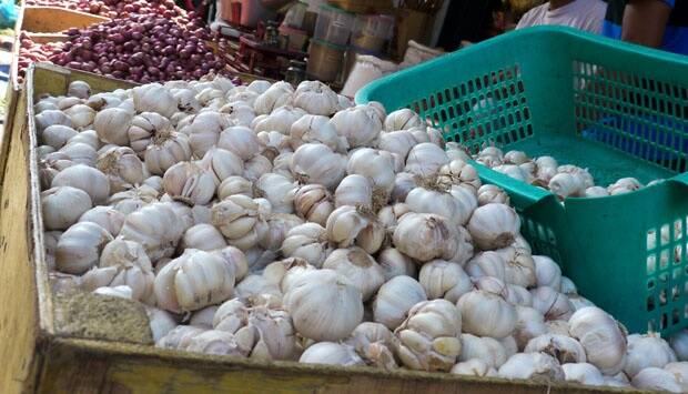 Bulog Sediakan Bawang Putih Harga Murah