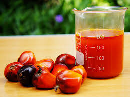 Harga CPO Naik Rp146/Kg