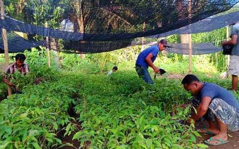Bupati Janji Support Kades Tanjabtim Kreatif