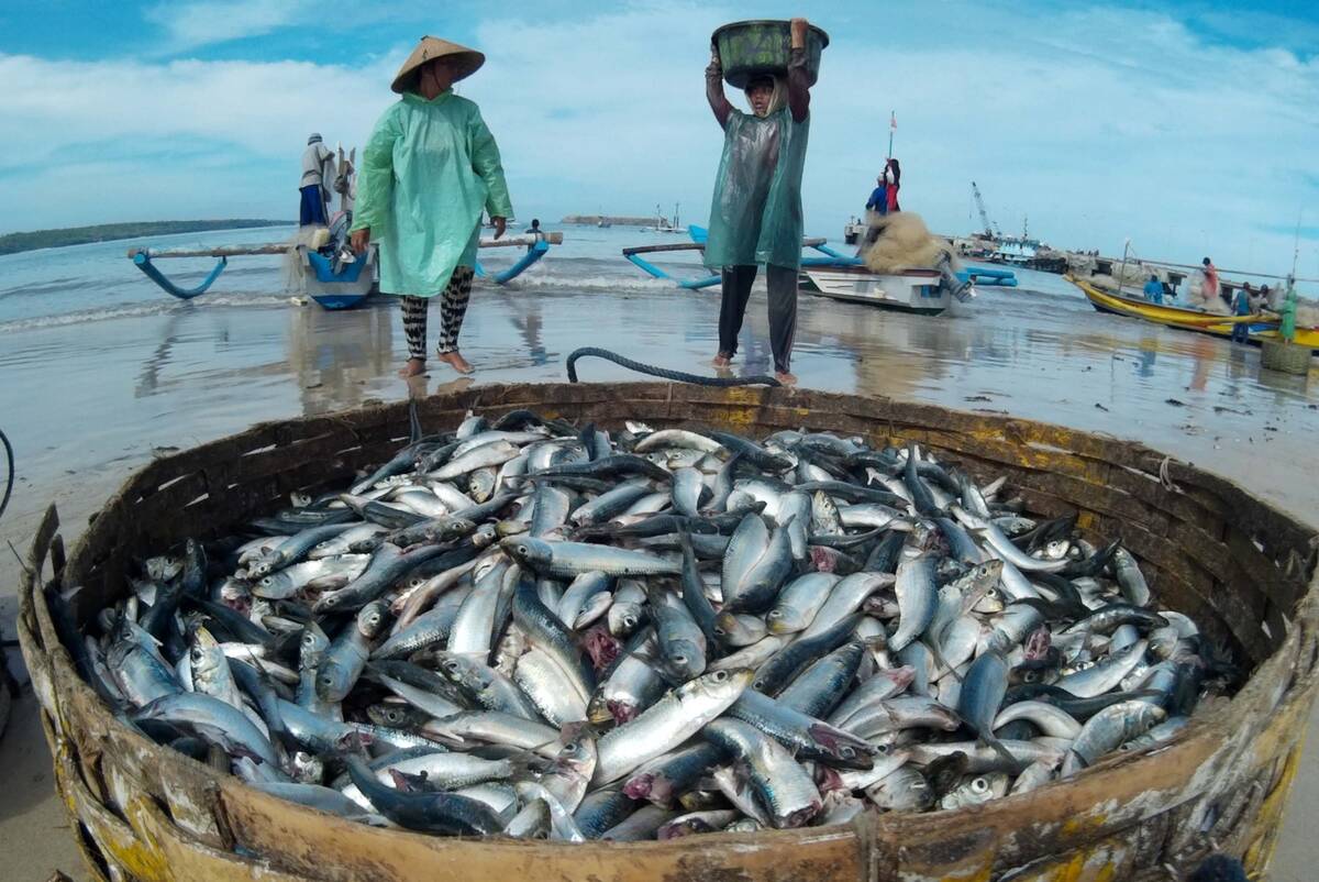 Pasokan Ikan Nelayan Bulan Puasa Stabil