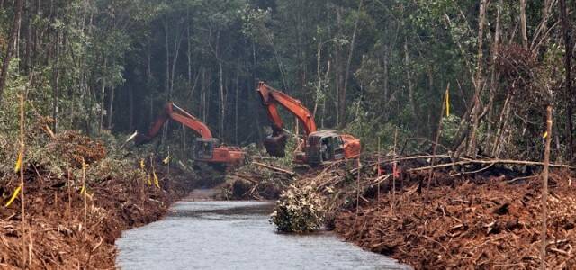 BRG Dorong Desa Buat Perdes Perlindungan Gambut