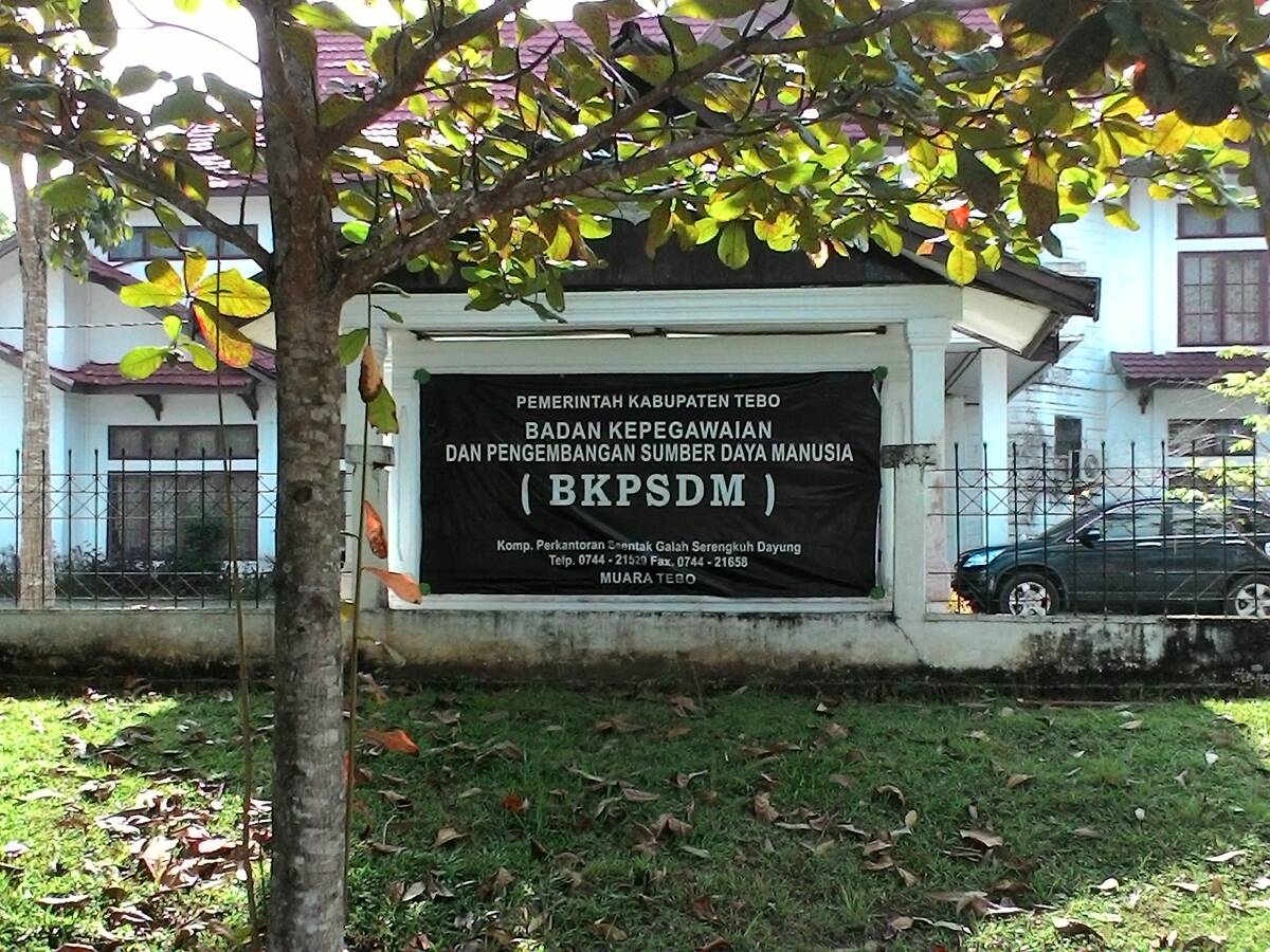 254 TKK Lingkup Pemkab Tebo Dinyatakan Gugur