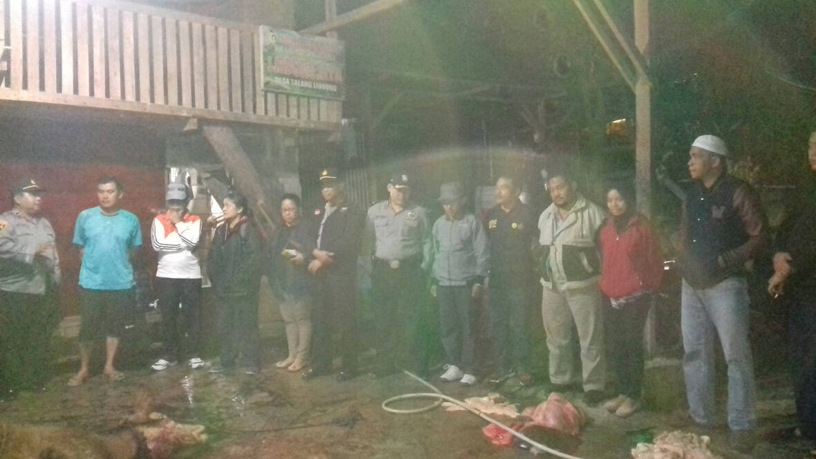 Kementrian Larang Potong Sapi Betina Produktif