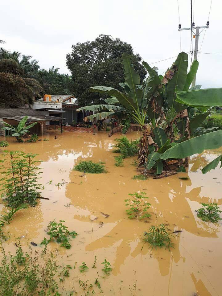 Hujan Lebat, Banjir Rendam Tiga Desa