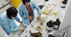 Bahan Makanan Pedagang Diminta Diuji Labor