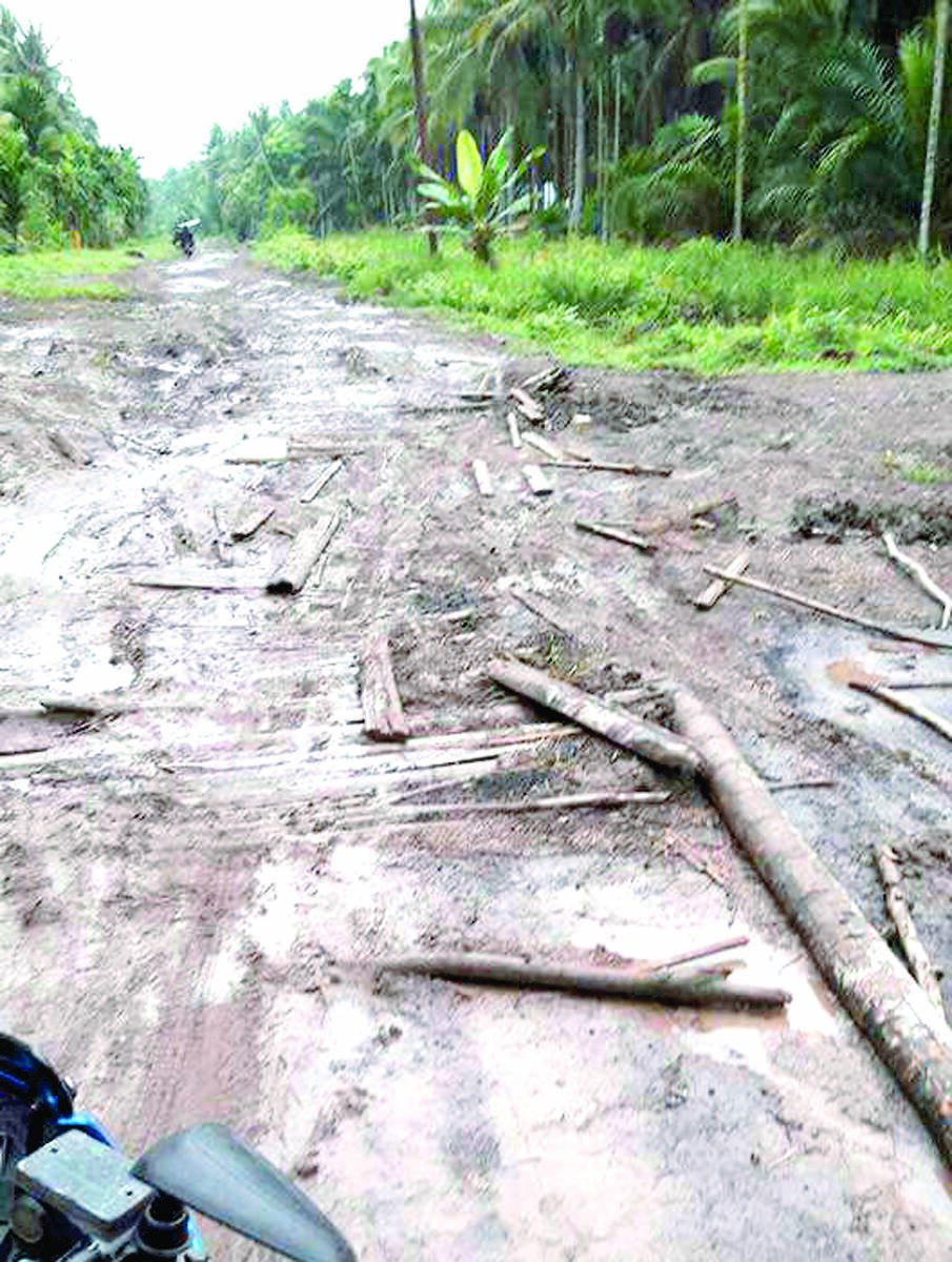 Jalan Desa Teluk Ketapang Bak Kubangan Kerbau