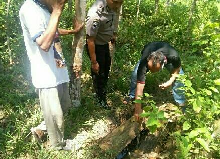Orang Tua Nyadap Karet, Anak Masuk Sumur Hingga Tewas