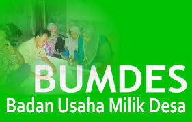 Banyak desa dikerinci belum miliki BUMDES