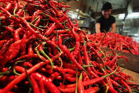 Harga Cabai Merah Tidak Pedas Lagi