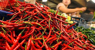 Harga Cabai Merah Turun