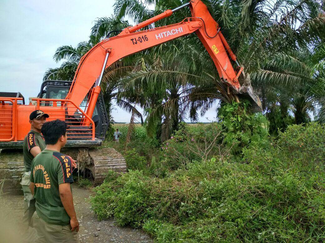 Pemkab akan Perluas Lahan Cetak Sawah