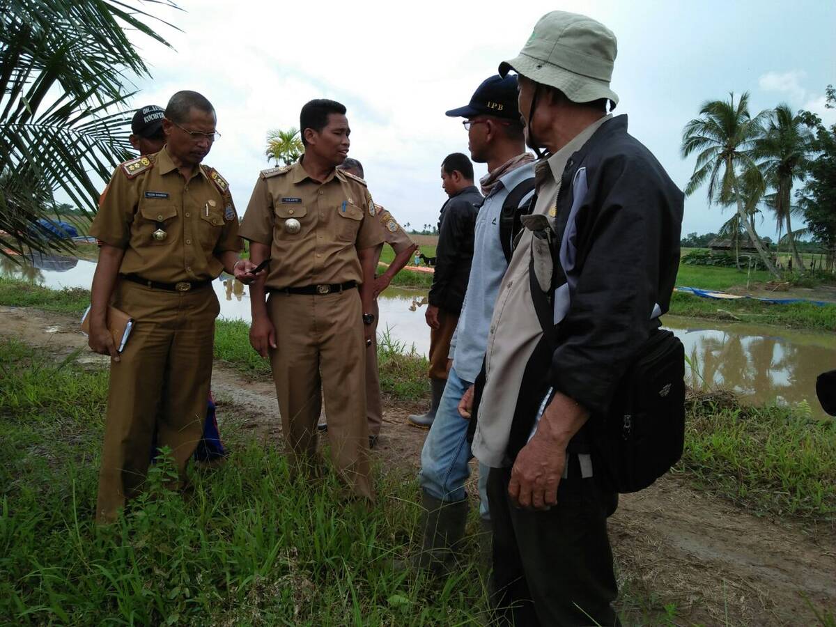 Camat Rantau Rasau Tinjau Lokasi Kedatangan Gubernur