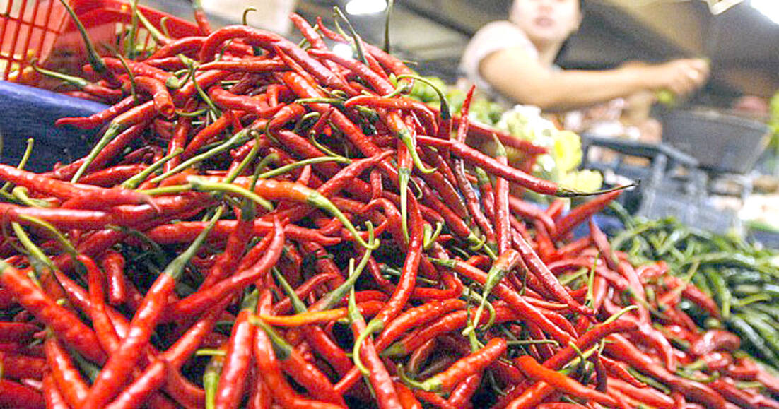 Harga Cabai Turun Rp 12.000/Kg