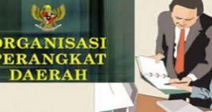 Kepala OPD Diminta Turun ke Lapangan