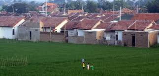 Lahan Persawahan Beralih Fungsi Jadi Area Pemukiman