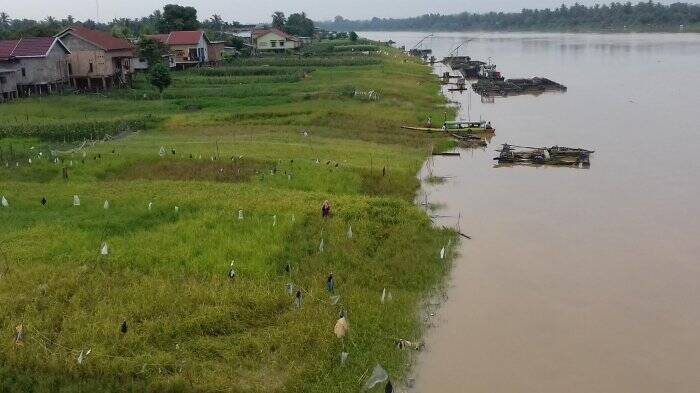 Jambi Belum Tetapkan Siaga Banjir