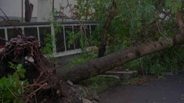 Halaman Rumah Dinas Walikota Amblas