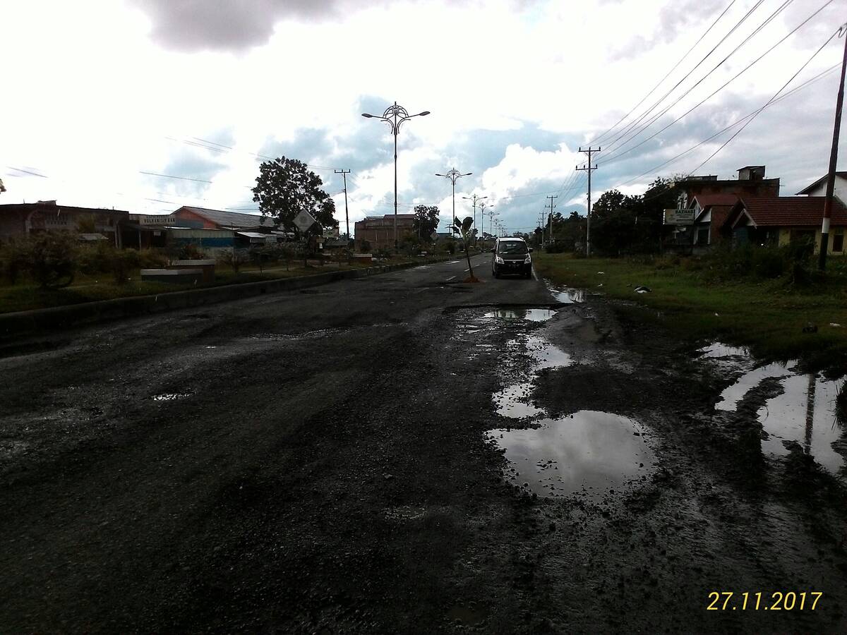 Jalan Lintas Tebo Ditanami Pohon Pisang