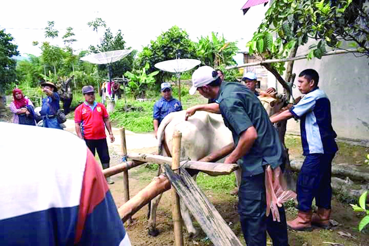 Produkstifitas Ternak Terus Ditingkatkan