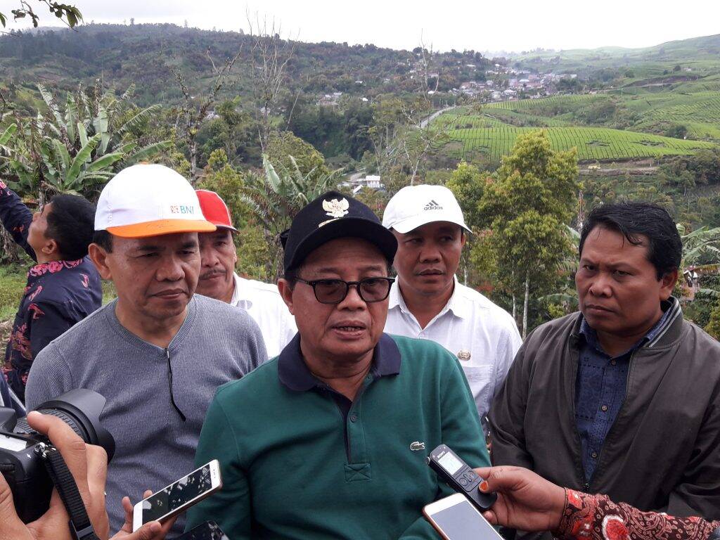Wagub Tanam Kopi Arabika Dan Panen Kentang di Kerinci