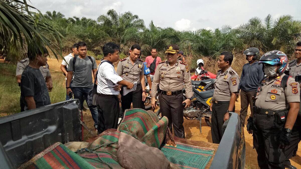 Penuh luka bacok, warga temukan mayat membusuk di Desa Tidar Kuranji
