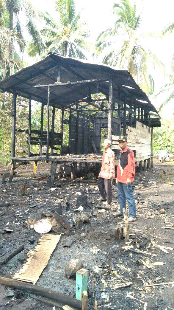 Ditinggal Pergi, Rumah Warga Desa Kayu Aro Terbakar