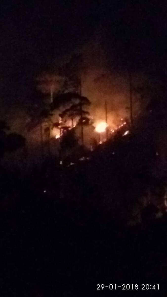 Delapan Hektar Kebun Warga Dilahap Sijago Merah