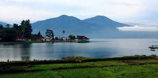 Puluhan Hektar Sawah Pinggir Danau Kerinci, Terancam Fuso
