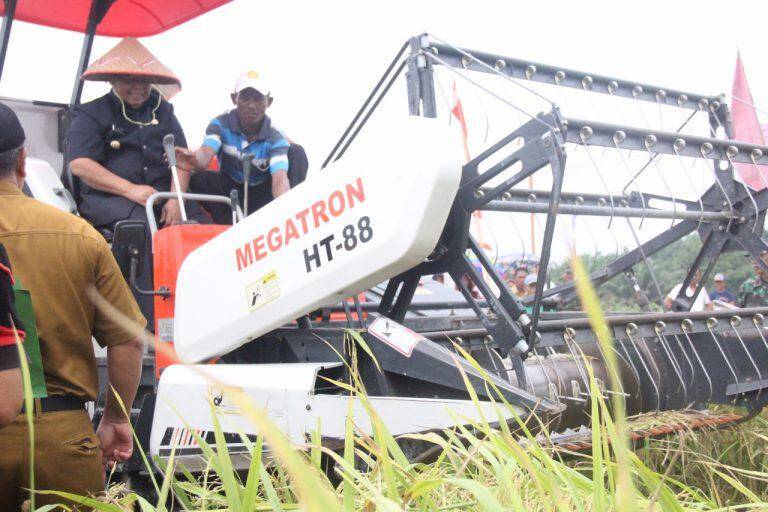 Batang Asam Miliki Potensi Sawah Seluas 100 Hektar