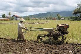 DTPHKP Tebo Usulkan 500 Ha, Kementan Kabulkan 100 Hektar Perluasan Cetak Sawah Baru