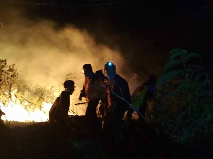 Dua Bulan, 288.5 Hektar Hutan dan Lahan Terbakar