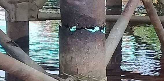 Provinsi Ambil Alih Perbaikan Jembatan Sugeng