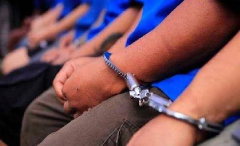 Dishut Amankan Dua Terduga Perambah Hutan