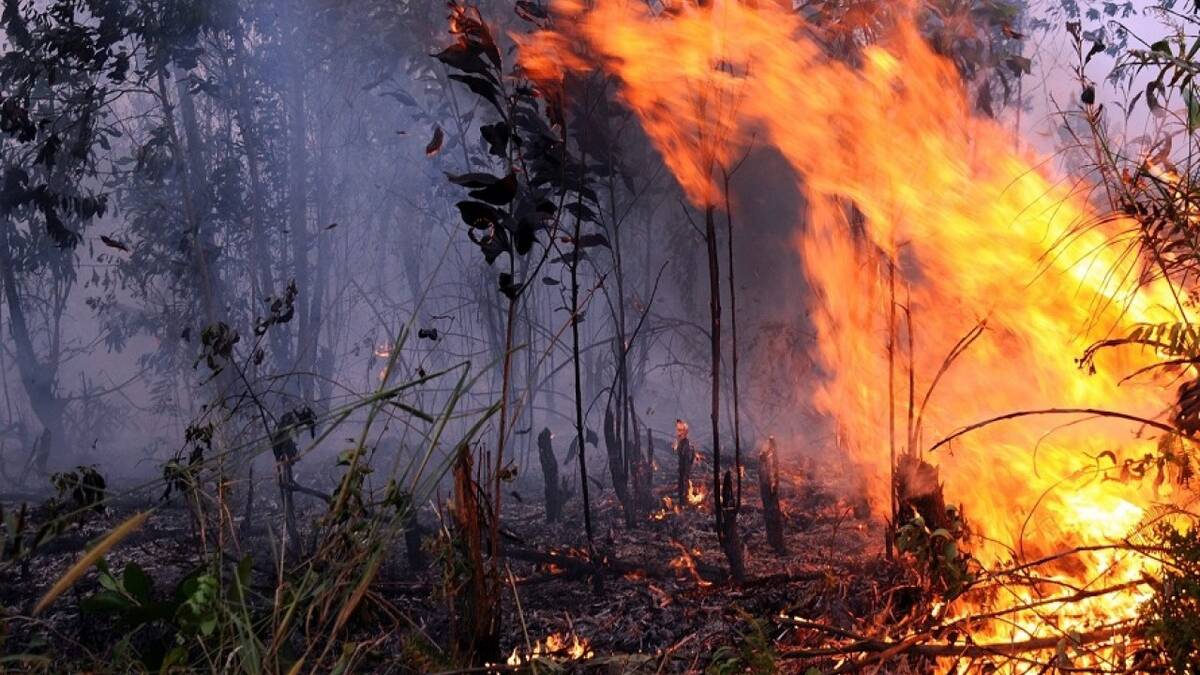 Kabupaten Merangin Siaga Kebakaran Hutan dan Lahan