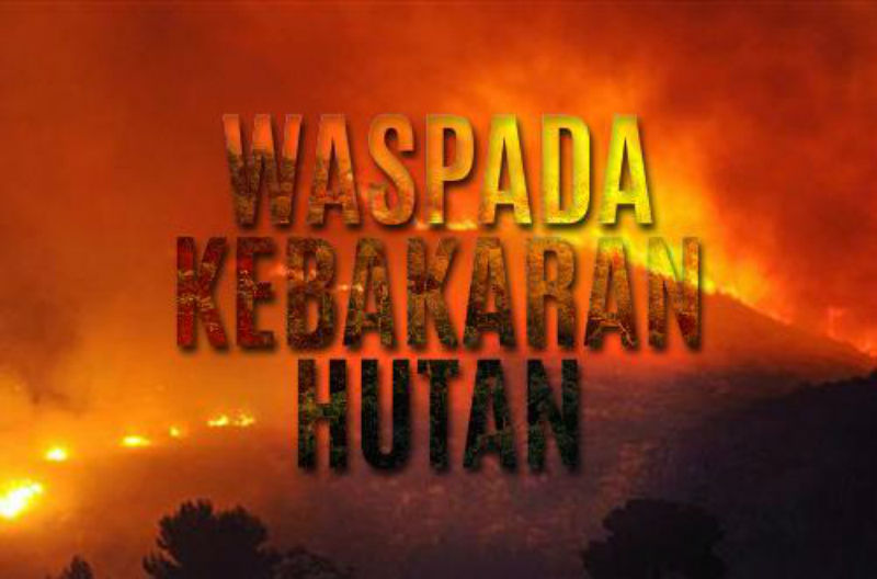 Pemkab Tanjabtim Keluarkan Penetapan Status Siaga Karhutla
