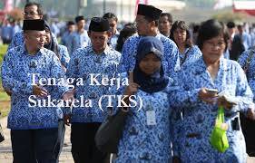 Pemkab Kerinci Data TKS