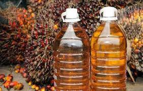 Harga CPO Jambi Naik Rp87 Per Kilogram