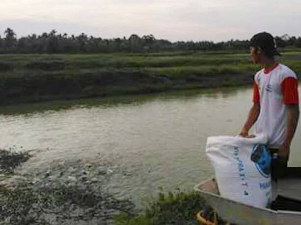 Petani Ikan di Batanghari Bikin Pakan Mandiri