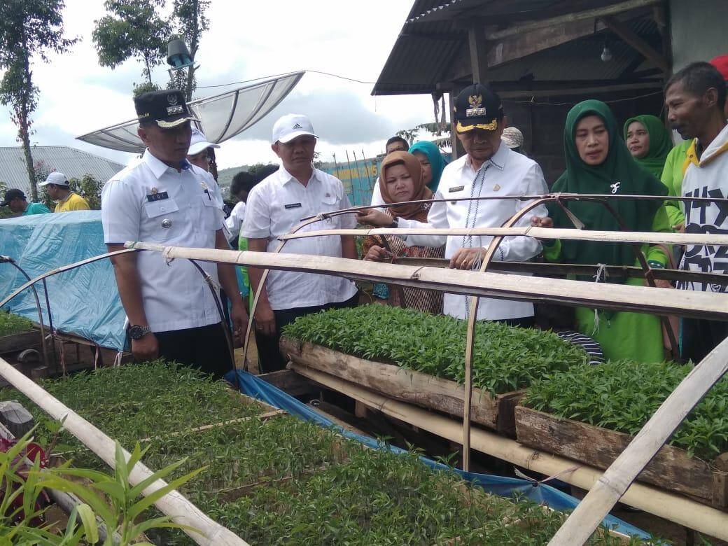 Dua Tanaman Kerinci, Diajukan Mendapatkan Sertifikat IG