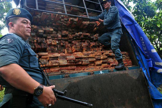 Jambi Amankan 27 Meter Kubik Kayu Ilegal