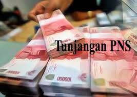 Sistim TPP ASN Diberlakukan, Pemkab Kerinci, Siapkan 50 Milyar