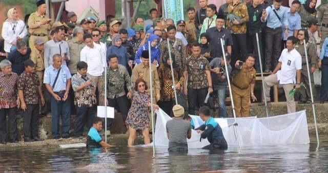 Menteri Susi Taburkan Bibit Ikan di Danau Kerinci