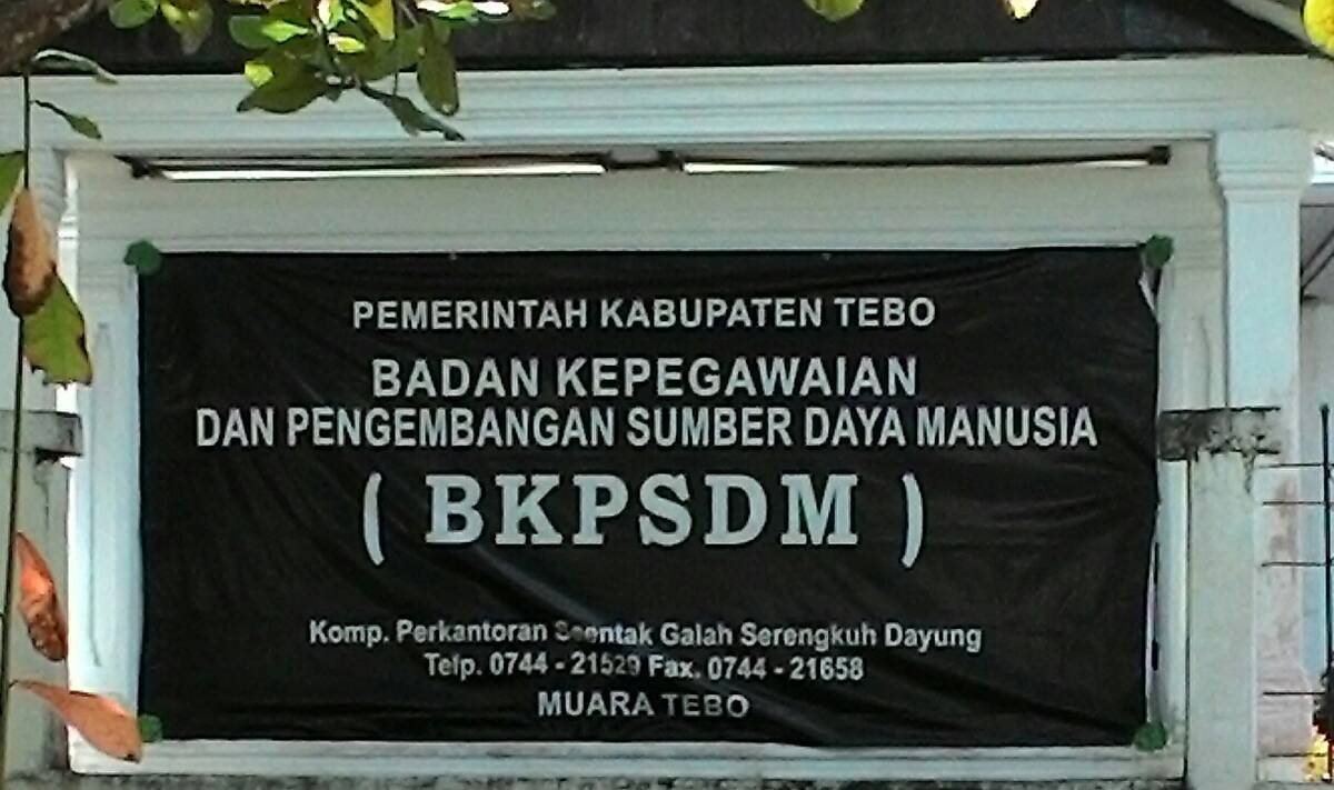 Tebo Tunda Seleksi Penerimaan P3K