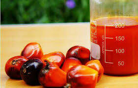 Harga Minyak Sawit Mentah Di Jambi Naik