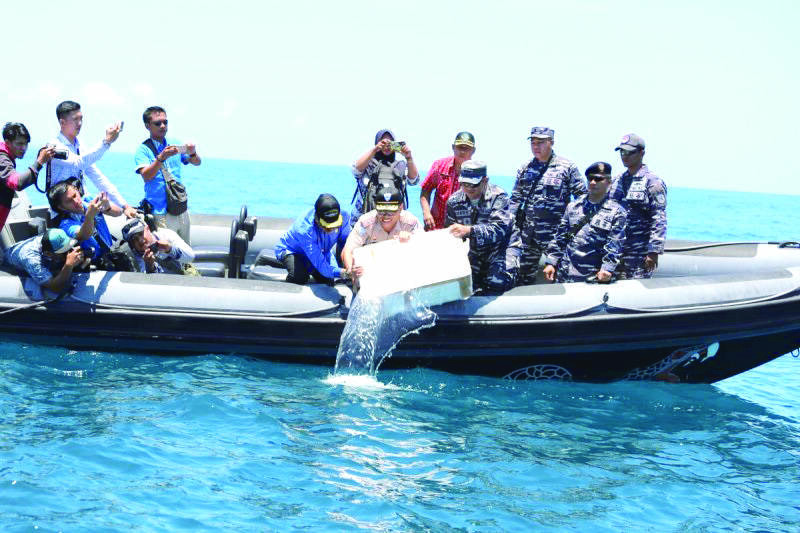 TNI AL Kembali Gagallak Penyeludupan Benih Baby Lobster