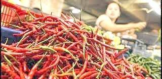 Pasca Lebaran Harga Cabai Merah Capai 90 Ribu Per Kilogram