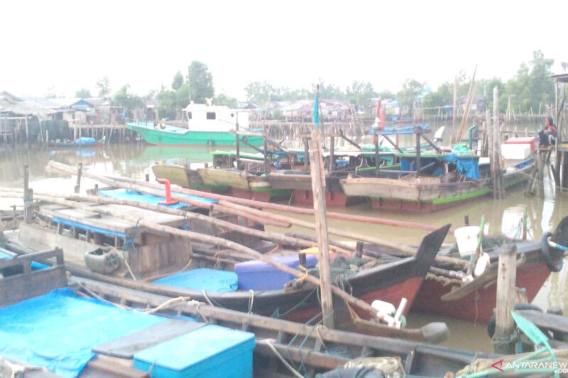 Nelayan Trawl Resahkan Nelayan Udang Kipas